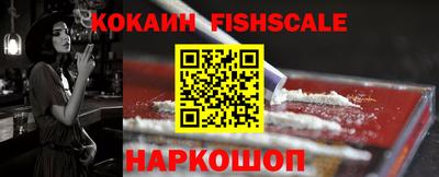 гашик Сланцы