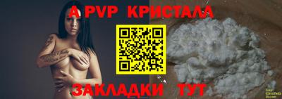 стафф Славгород