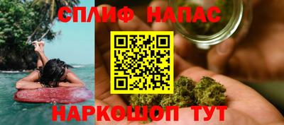гашик Сланцы