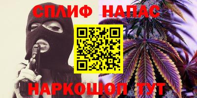 гашик Сланцы