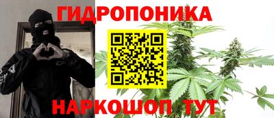 стафф Славгород