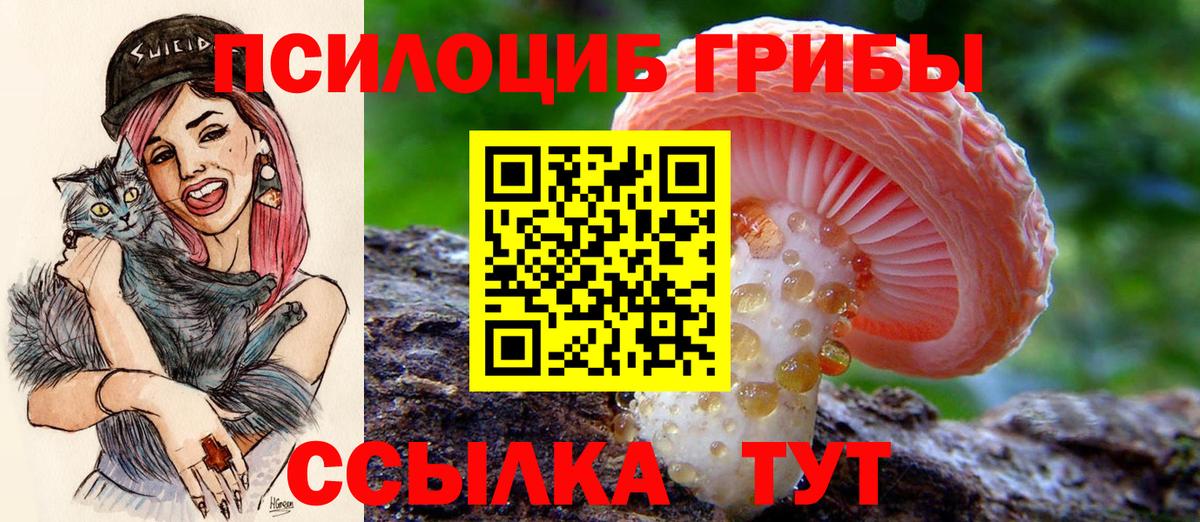 Псилоцибиновые грибы ЛСД Рузаевка